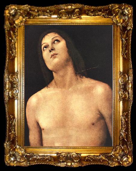 framed  PERUGINO, Pietro Bust of St. Sebastian sg, ta009-2